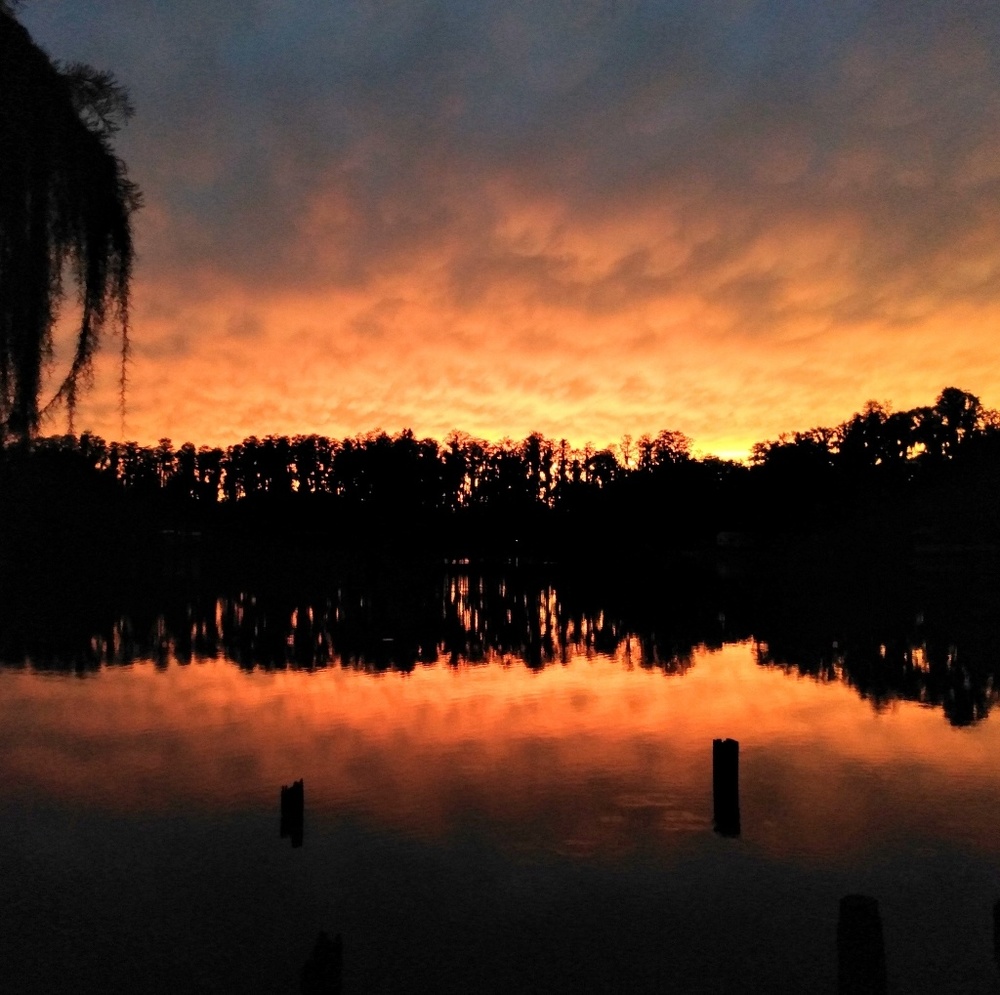 Meet your Posher, Hailey